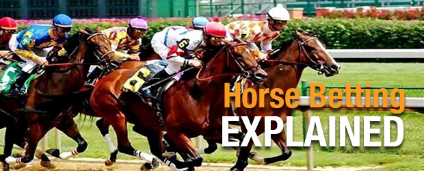 Horse Betting Explained